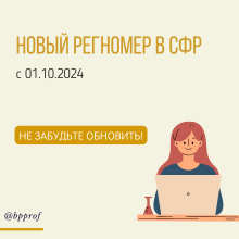 С 1 ноября 2024 года отчеты в СФР надо сдавать с новым регистрационным номером