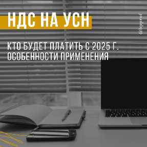 НДС на УСН: Кто будет платить с 2025 г. Особенности применения