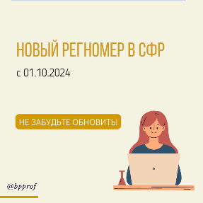 С 1 ноября 2024 года отчеты в СФР надо сдавать с новым регистрационным номером